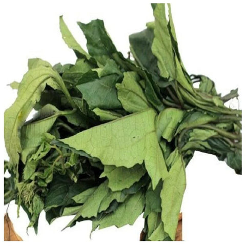 Fresh Ugu Bunch (Please Read Notice Before Purchasing This Product)