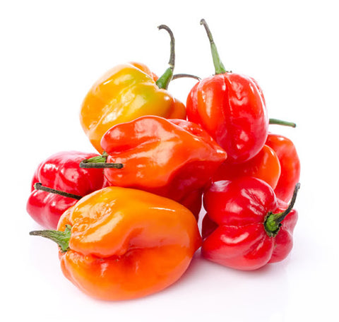 Hot pepper 500G